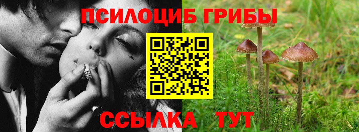 Галлюциногенные грибы MAGIC MUSHROOMS Дзержинск