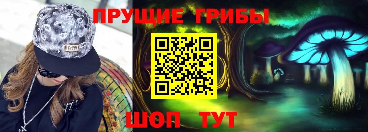 где продают наркотики  Псилоцибиновые грибы Psilocybine cubensis  Дзержинск  Вход с VPN  Галлюциногенные грибы Cubensis 